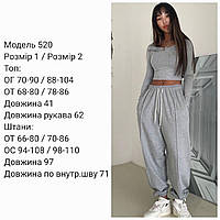 Женский осенний спортивный костюм двунитка 42-44 46-48 серый, 46-48