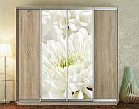 Наклейка для шкафа-купе 220 х 60 см на 2 двери белые цветы (БП_а_fl10615)