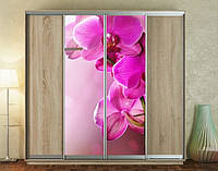 Наклейка на шафу-купе 220 х 60 см на 2  двері Рожева орхідея (БП_а_fl10660)