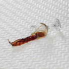 Наматрацник стьобаний водонепроникний Kayra 160х200 см, фото 2