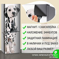 Самофиксирующаяся наклейка на холодильник магнитная, с собакой далматинцем 180 х 60 см, только Лицевая сторона