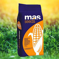 Семена кукурузы MAS 28.A ФАО - 270