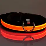 🐶Нашийник з підсвічуванням для собак з LED стрічкою USB зарядкою, фото 3