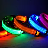 🐶Нашийник з підсвічуванням для собак з LED стрічкою USB зарядкою, фото 4