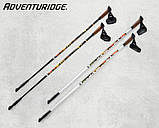 Німецькі Палки карбонові для скандинавської ходьби Adventuridge 115 см, фото 9