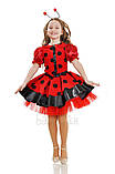 Костюм сонечка із спідницею-пачкою, фото 2