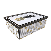 Контейнер Qutu Trend Box Pineapple Life, 25 л