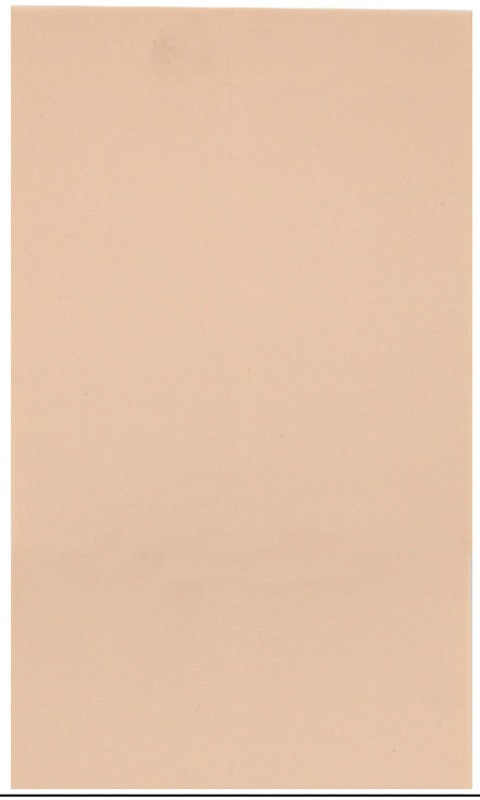 Штучна шкіра 25*14 см для навчання перманентному макіяжу татуажу та татуажу, силіконовий килимок тілесного