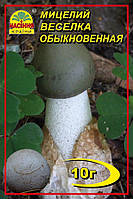 Мицелий грибов Насіння країни Веселка лечебная 10 г UK, код: 7718786