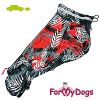 Дощовик для собак For My Dogs "Пальмові гілочки" породи Такси та Вельш Коргі, червоний