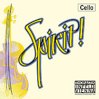 Струна Thomastik-Infeld SP43 Spirit Rope Core Chromium Wound 4 4 Cello G String Medium Tensio TV, код: 7294356