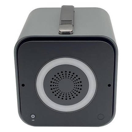 Портативна зарядна станція для дому 300W/600W Max 220V PROTESTER PRO-PS301G, фото 3