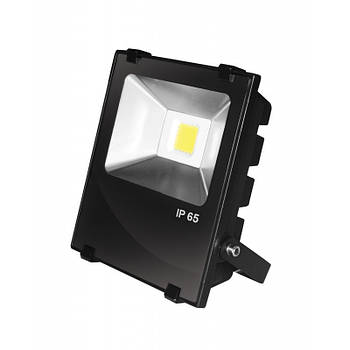 EUROELECTRIC LED COB Прожектор чорний із радіатором 10W 6500 K modern