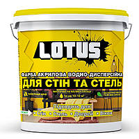 Краска акриловая водно-дисперсионная для стен и потолков Lotus 10 л Белый FT, код: 7444039