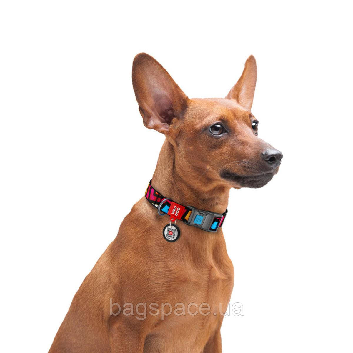 Ошейник для собак нейлоновый WAUDOG Nylon Граффити пластиковый фастекс Ш 25 мм Дл 31-49 см BS, код: 7562757 - фото 2 - id-p1953472141