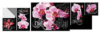 Модульная картина Декор Карпаты OR-003 170х71см Орхидеи (hub_ksCL35730) DT, код: 1224695