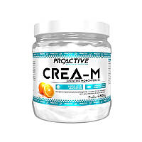 Креатин ProActive Crea-M 250gr (Апельсин) моногідрат