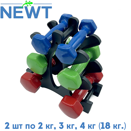 Кольорові вінілові гантелі для фітнесу на підставці Newt Vinyl Dumbbell Set 2 шт. по 2 кг, 3 кг, 4 кг (18 кг.), фото 1