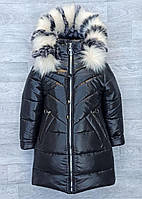 Зимова подовжена куртка — пальто з трендової плащової тканини «Жемчужина» чорна з білим хутром