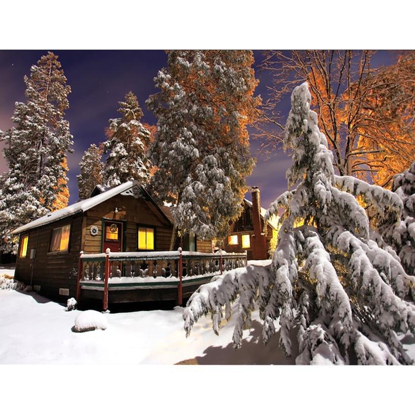 Картина за номерами 40x50 см DIY Зимова казка (FRA 73505), фото 1