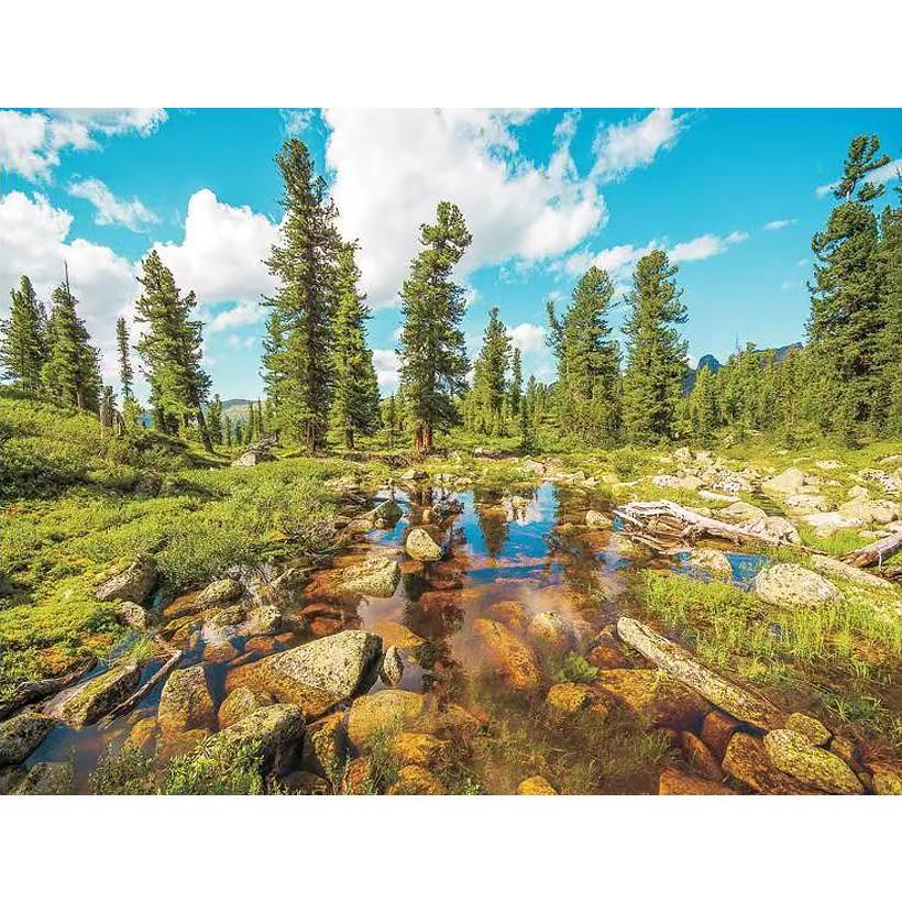 Картина за номерами 40x50 см DIY Живописний край (FRA 74449)