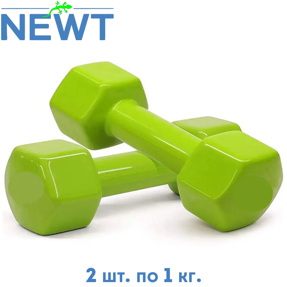 Гантелі вінілові для фітнесу гантелі гантелі спортивні нерозбірні фітнес гантелі вініл Newt Vinyl 2 шт по 1 кг