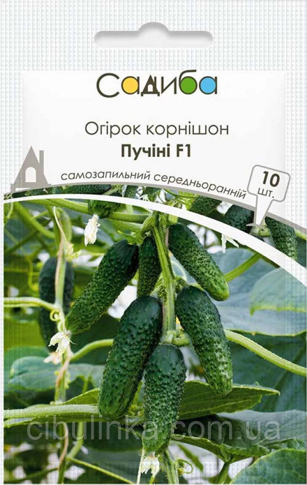 Насіння Огірок Пучіні F1 самозапильний 10 шт, фото 1