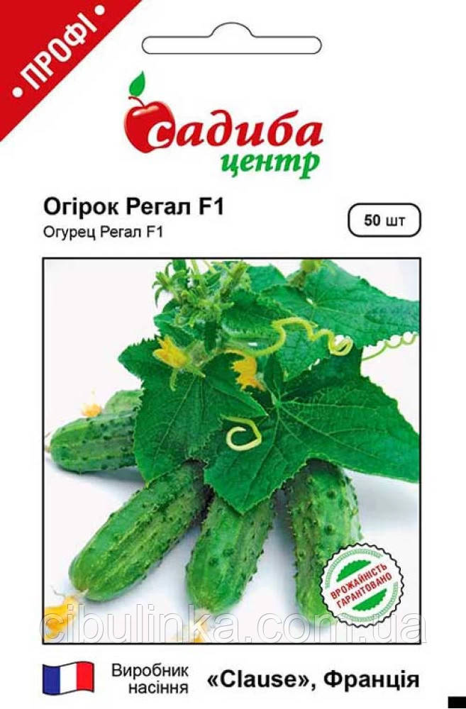 Насіння огірка Регал F1 Садиба центр 50 шт, фото 1