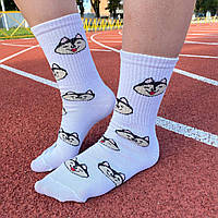 Прикольні шкарпетки дівчині з фотопринтом "Хаскі" 1 пара 36-41р білі, трикотажні та довгі, демісезонні