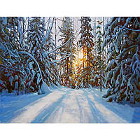 Картина за номерами 40x50 см DIY Зимовий ліс (FRA 73494)