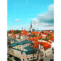 Картина по номерам 40x50 см DIY Смотровая площадка Паткули, Таллин (FRA 73503)