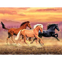 Картина за номерами 40x50 см DIY Трійка коней (FRA 73511)
