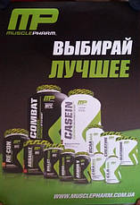 Плакати PowerPro MusclePharm дівчина, фото 2