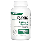 Kyolic, Aged Garlic Extract, витриманий екстракт часнику, для видалення дріжджового грибка та поліпшення травлення