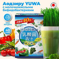 Аодзира с молочнокислыми и бифидобактериями, ферментами и дрожжами, вкус йогурта YUWA Lactic Acid Aodjiru 40