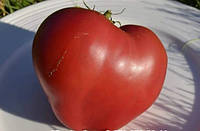 Семена томата "от Лазаревых" Японское сердце 15 семян