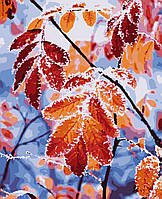 Картины по номерам "Листья" Artissimo холст на подрамнике 50x60 см PNX0111