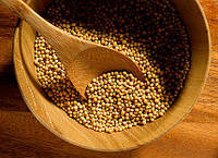 Гірчиця жовта ціла в зернах 100 грамів