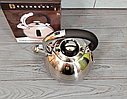 Чайник зі свистком із неіржавкої сталі 3 л Edenberg EB-7006/Чайник для плити Чорний, фото 3