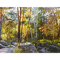 Картина за номерами 40x50 см DIY Теплий ліс (FRA 73547)