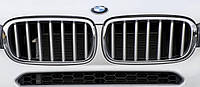 Решітка радіатора Pure Excellence для BMW X5 F15