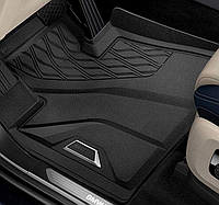 Всепогодні підлогові килимки для BMW X6 G06, передні