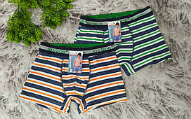 Дитячі труси р. 122-128 для хлопчика бавовна Loosoo T501