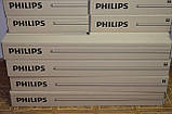 PHILIPS TL-D 36W/54-765 /1200мм, фото 3