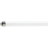 PHILIPS TL-D 36W/54-765 /1200мм, фото 5