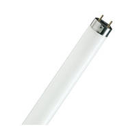 Лампа Люмінесцентна Osram L 18W/640 G13 590mm