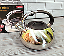 Чайник зі свистком із неіржавкої сталі 3 л Edenberg EB-3538/Чайник для плити, фото 5