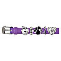 Браслет силиконовый Biojoux BJB002 Charms Bracelet MIX 2 Lilac (4666) TE, код: 1796234