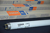 Лампа люмінесцентна Osram NATURA T8 L30W / 76 G13 (894.6mm) підсвічування м'ясних вітрин