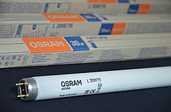 Лампа люмінесцентна Osram NATURA T8 L30W / 76 G13 (894.6 mm) підсвічування м ясних вітрин